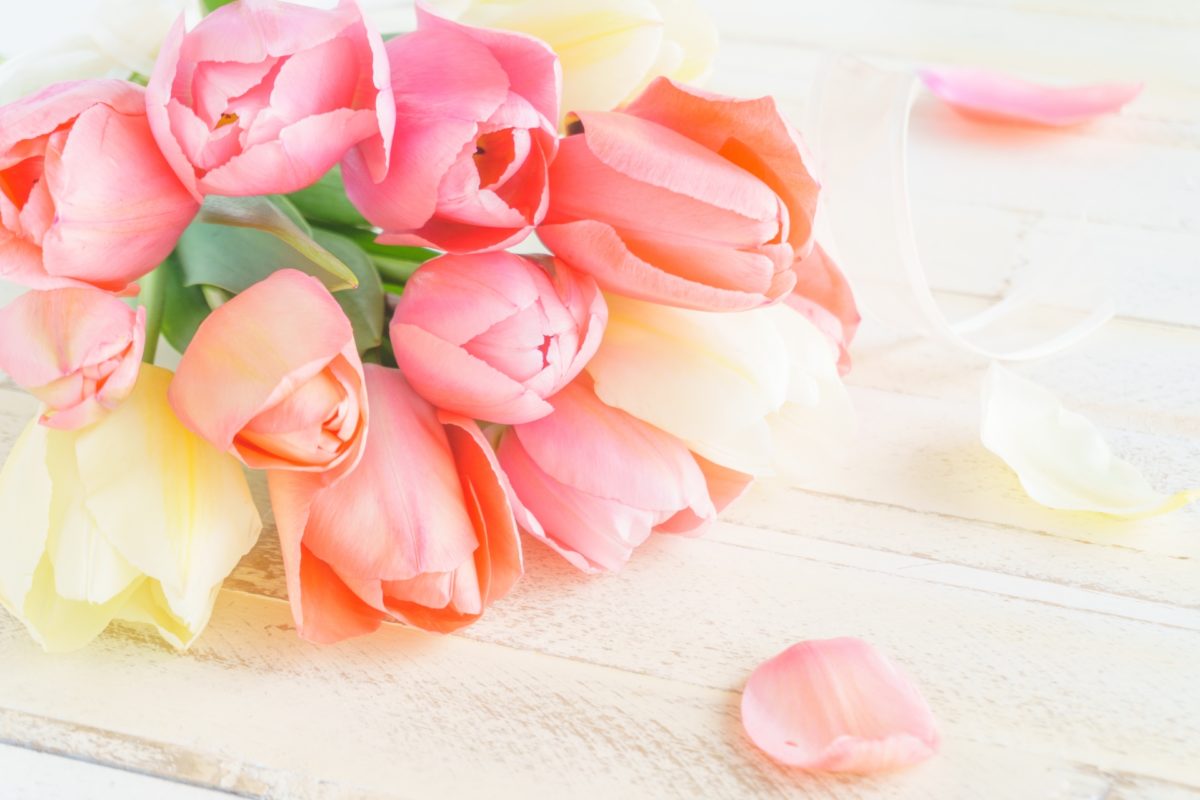 2023年4月の配信スケジュール